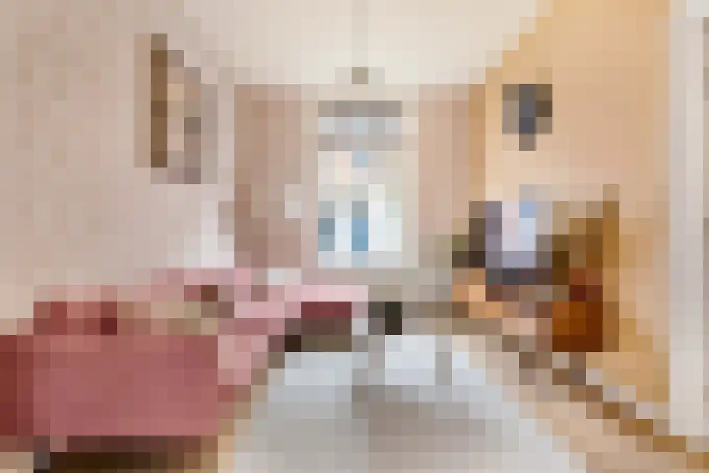 Riouwstraat 12 Utrecht thumbnail 4