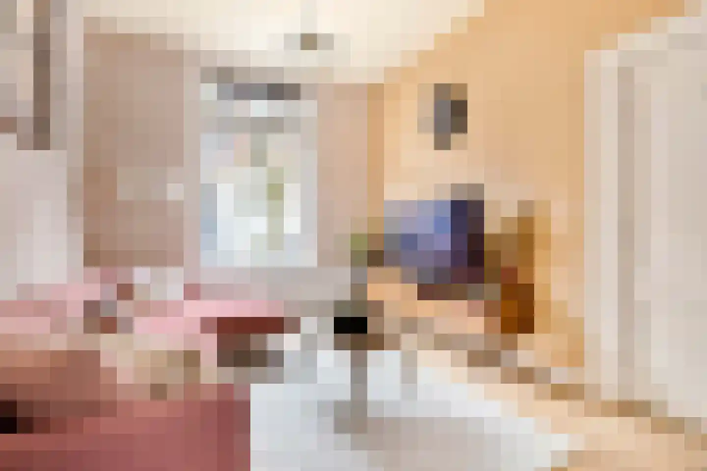 Riouwstraat 12 Utrecht thumbnail 5