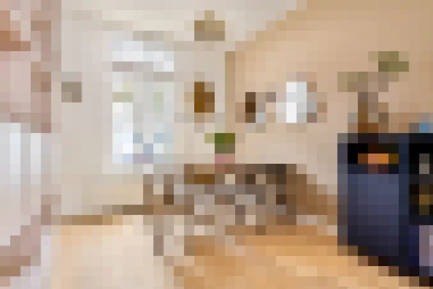 Riouwstraat 12 Utrecht thumbnail 7