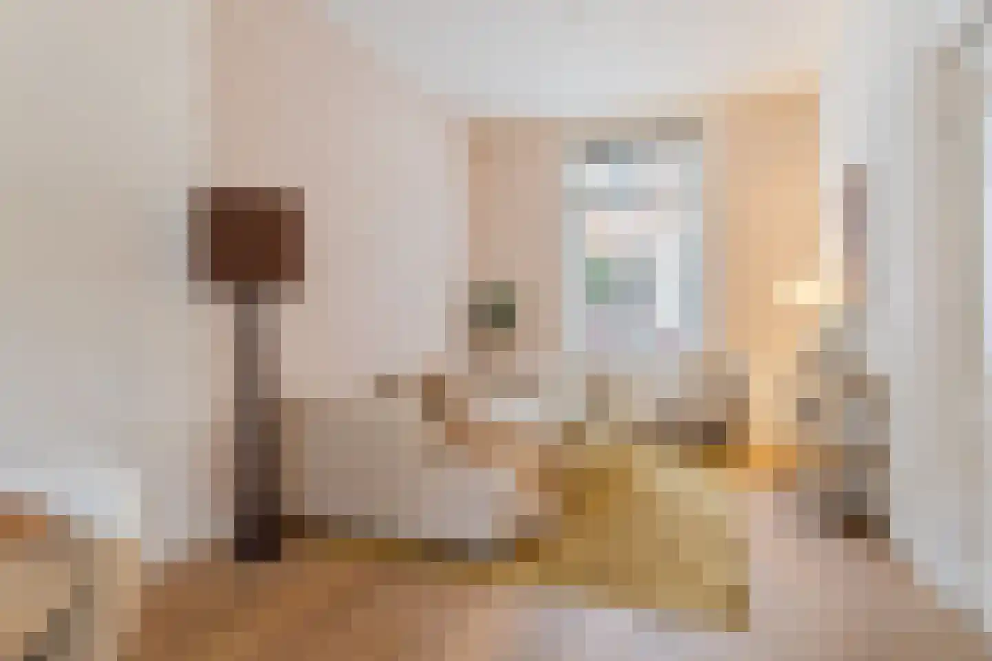 Riouwstraat 12 Utrecht thumbnail 8