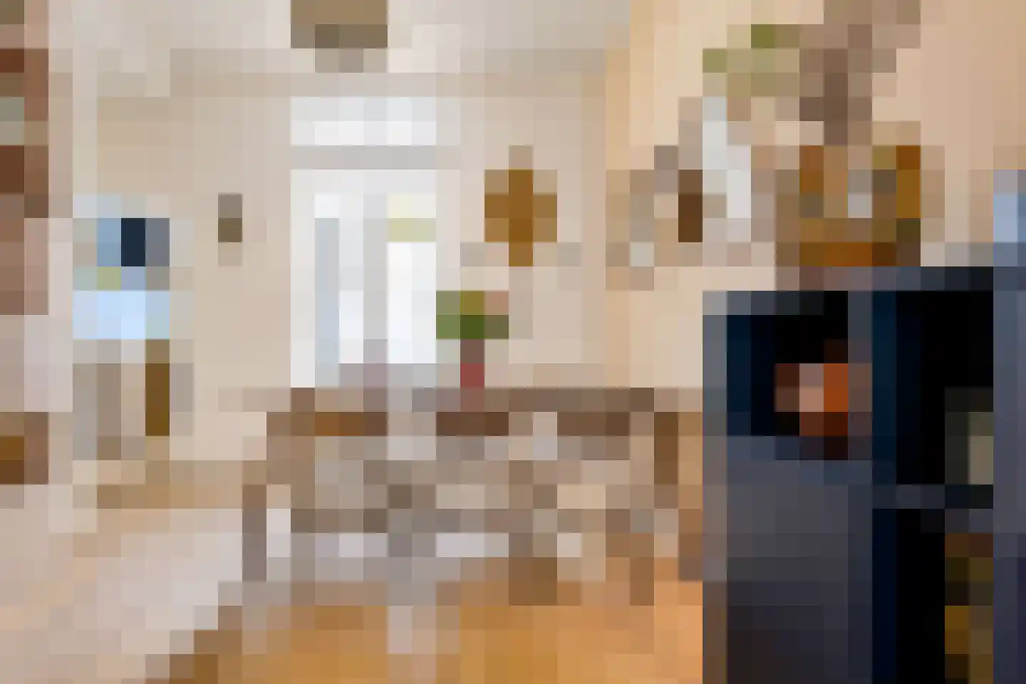 Riouwstraat 12 Utrecht thumbnail 8