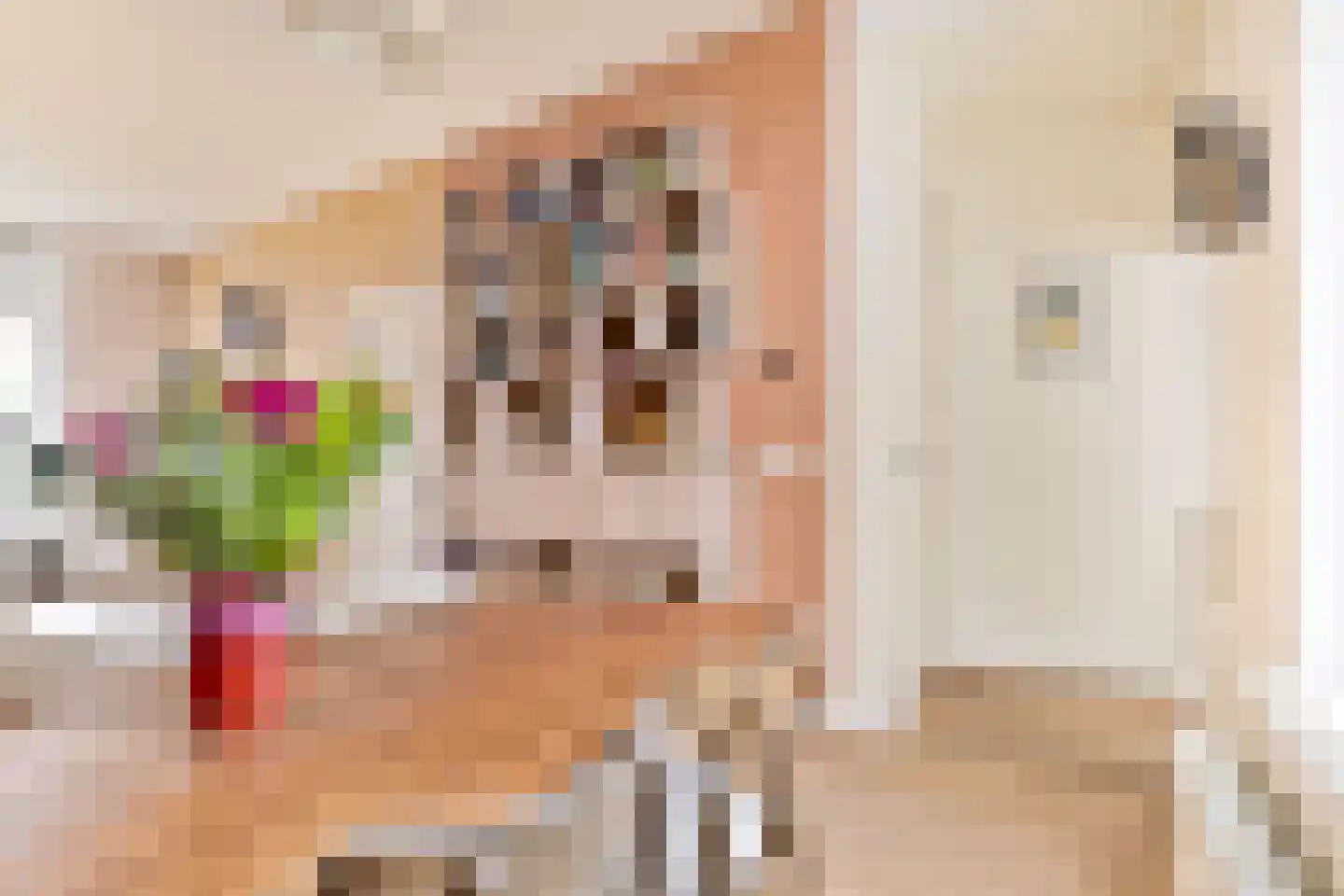 Riouwstraat 12 Utrecht thumbnail 9