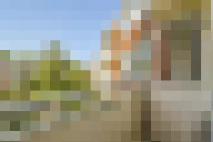 Riouwstraat 128 Amsterdam thumbnail 4