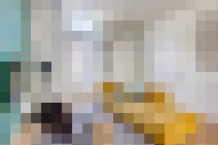 Riouwstraat 13 Utrecht thumbnail 9