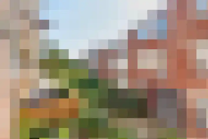 Riouwstraat 14 Amsterdam thumbnail 24