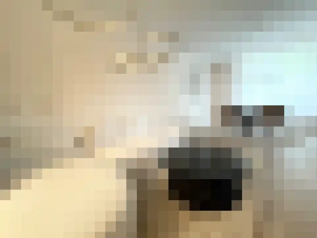 Riouwstraat 14 Amsterdam thumbnail 4