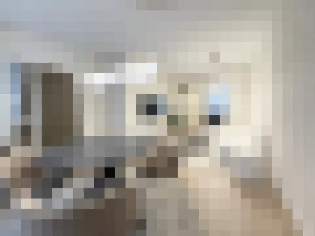 Riouwstraat 14 Amsterdam thumbnail 5