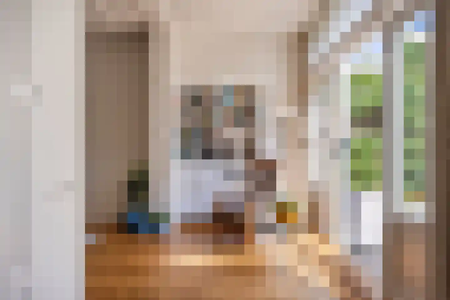 Riouwstraat 149 Den Haag thumbnail 19