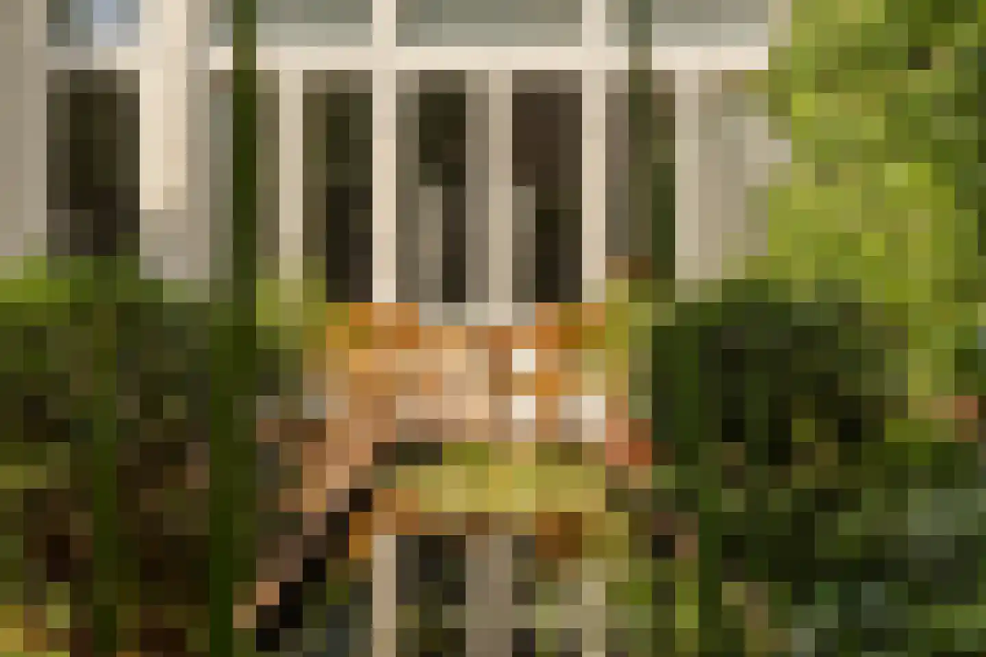 Riouwstraat 149 Den Haag thumbnail 22