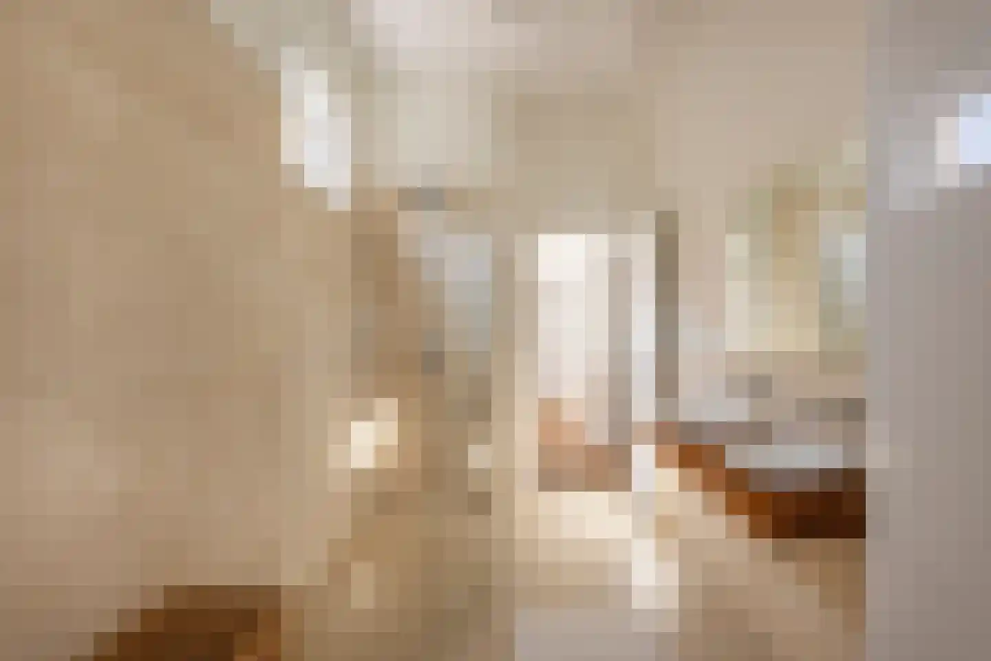 Riouwstraat 149 Den Haag thumbnail 37