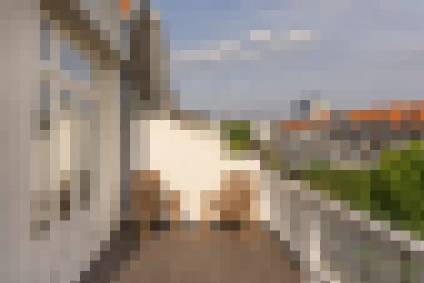 Riouwstraat 149 Den Haag thumbnail 46