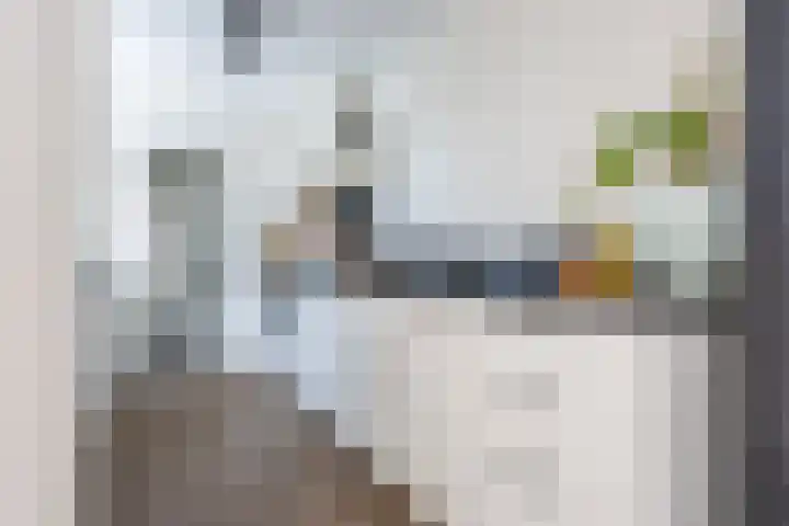 Riouwstraat 16 Wormerveer thumbnail 15