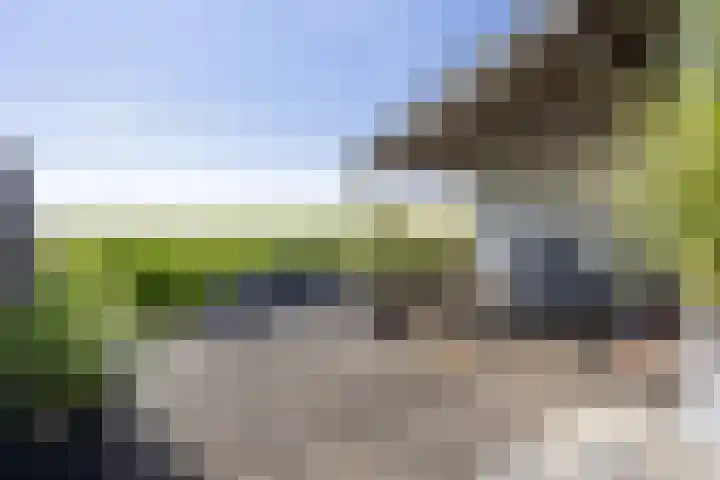 Riouwstraat 16 Wormerveer thumbnail 21