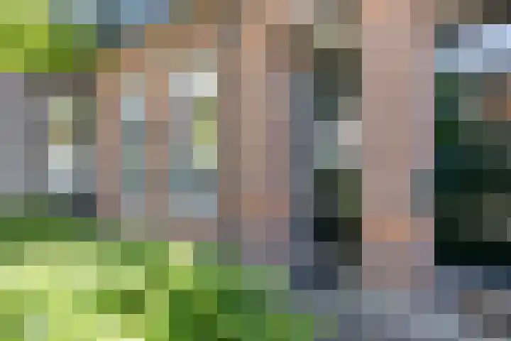 Riouwstraat 16 Wormerveer thumbnail 5