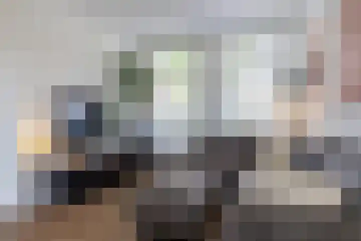Riouwstraat 16 Wormerveer thumbnail 7