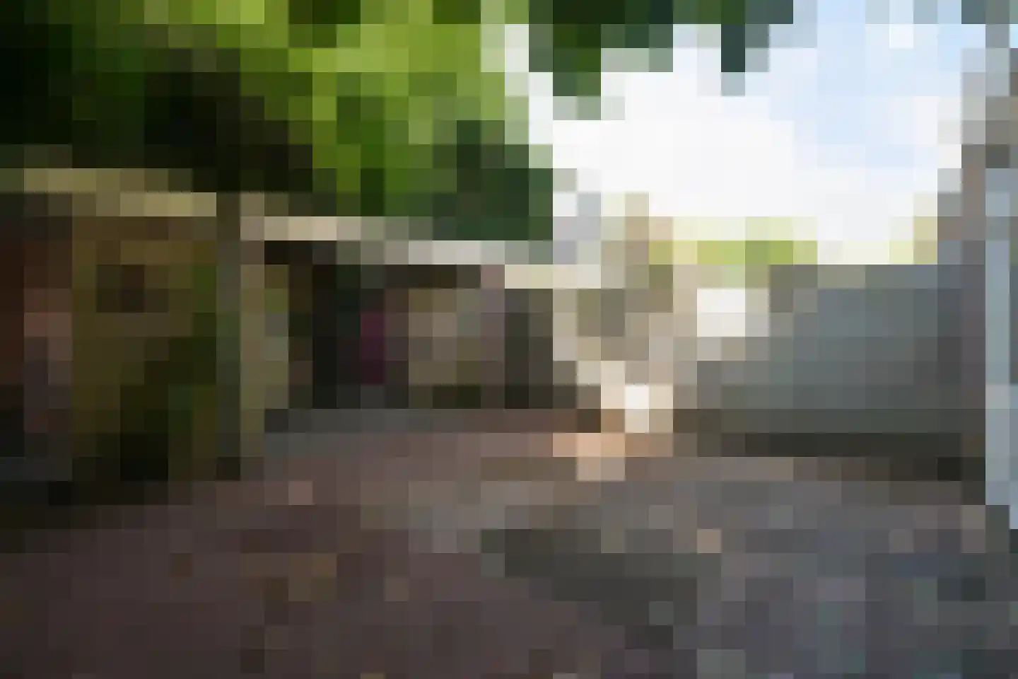 Riouwstraat 188 A Den Haag thumbnail 32