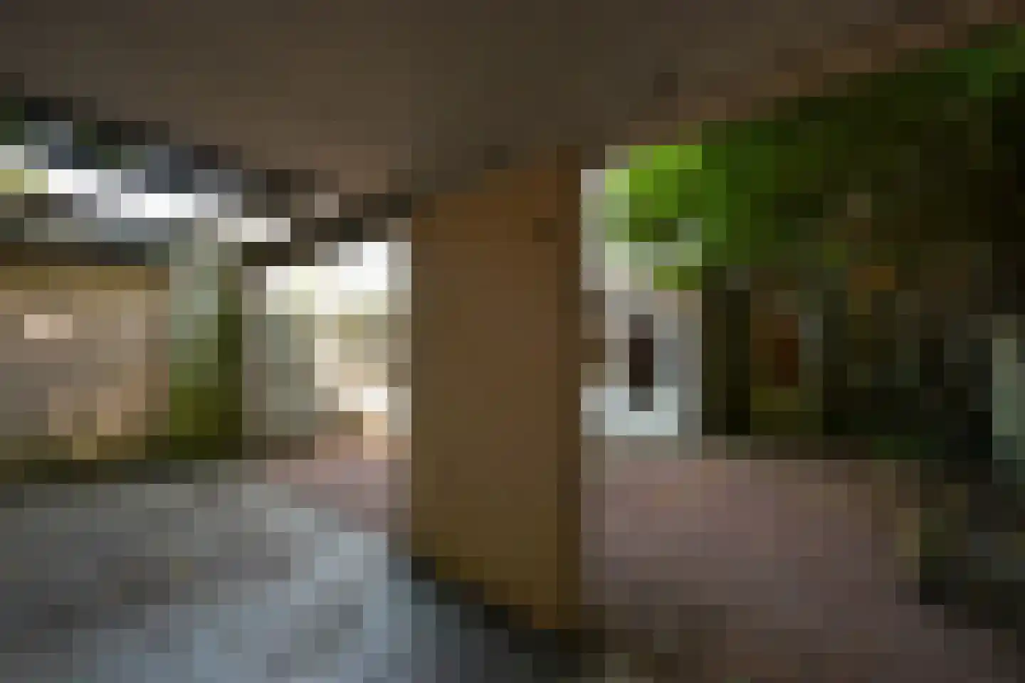 Riouwstraat 188 A Den Haag thumbnail 33