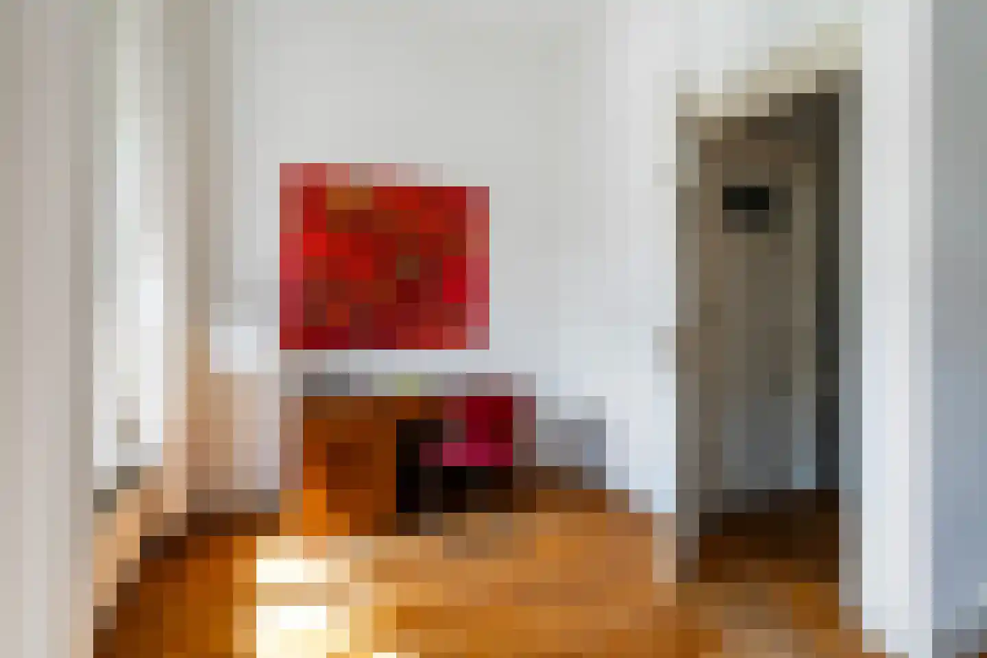 Riouwstraat 19 Den Haag thumbnail 23