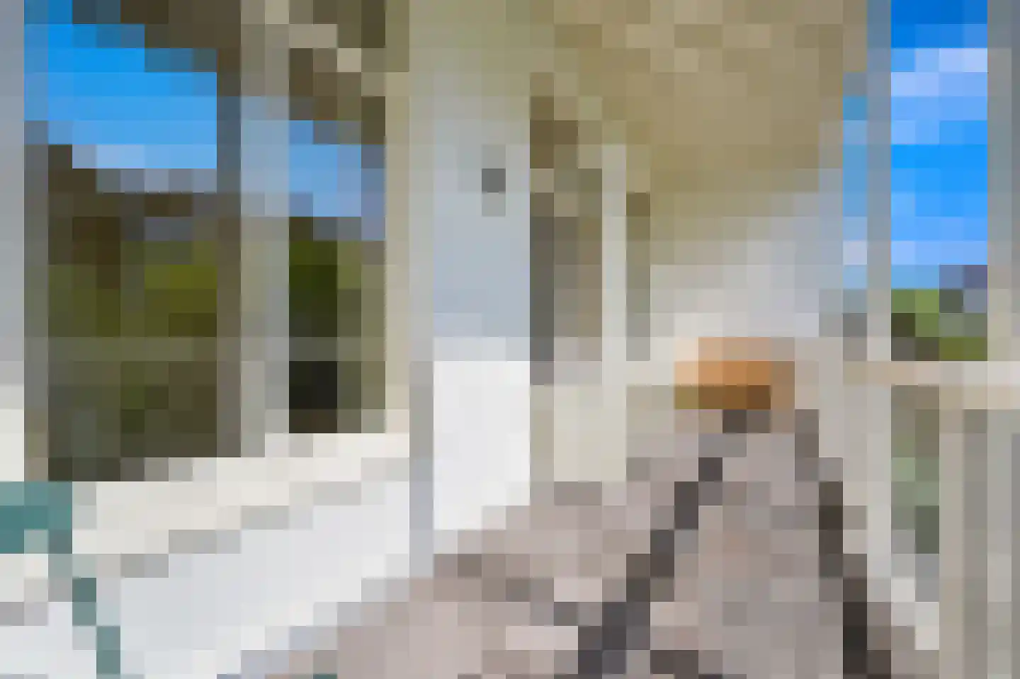 Riouwstraat 19 Den Haag thumbnail 25