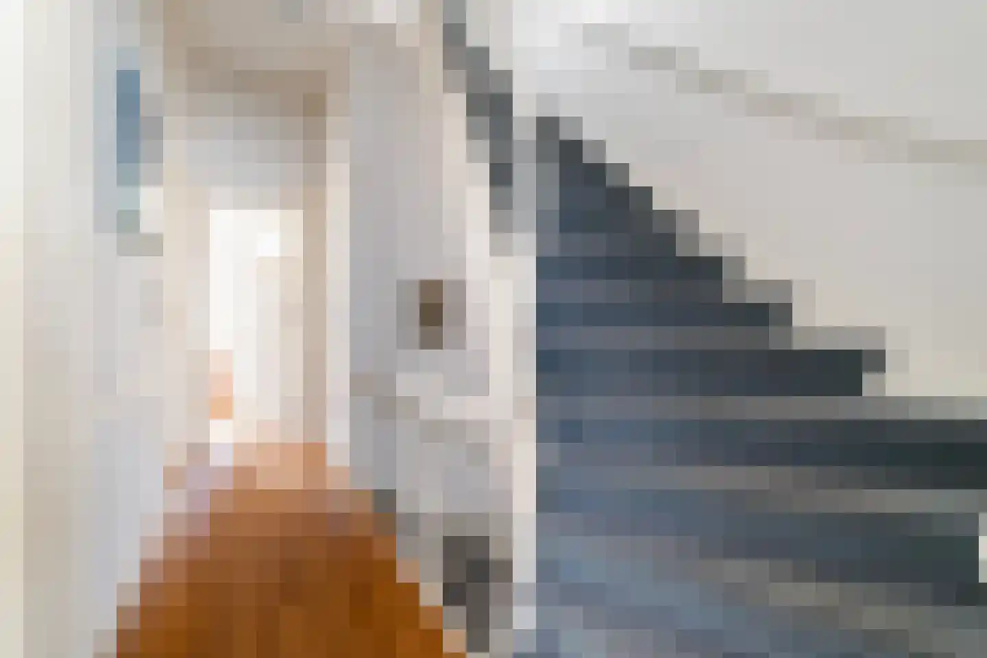 Riouwstraat 19 Den Haag thumbnail 33