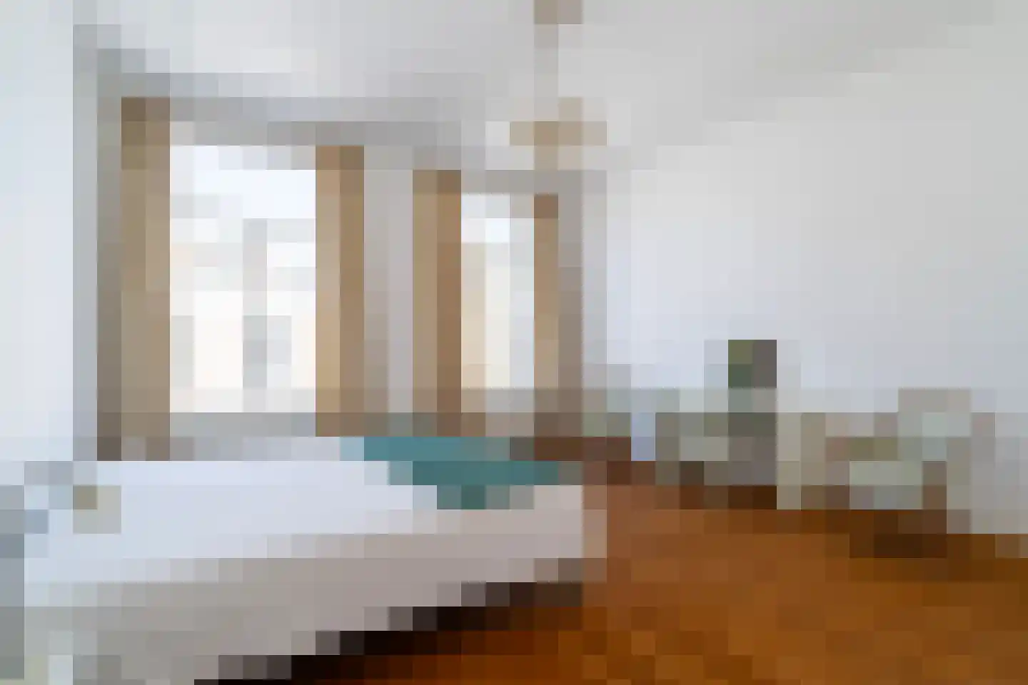 Riouwstraat 19 Den Haag thumbnail 37