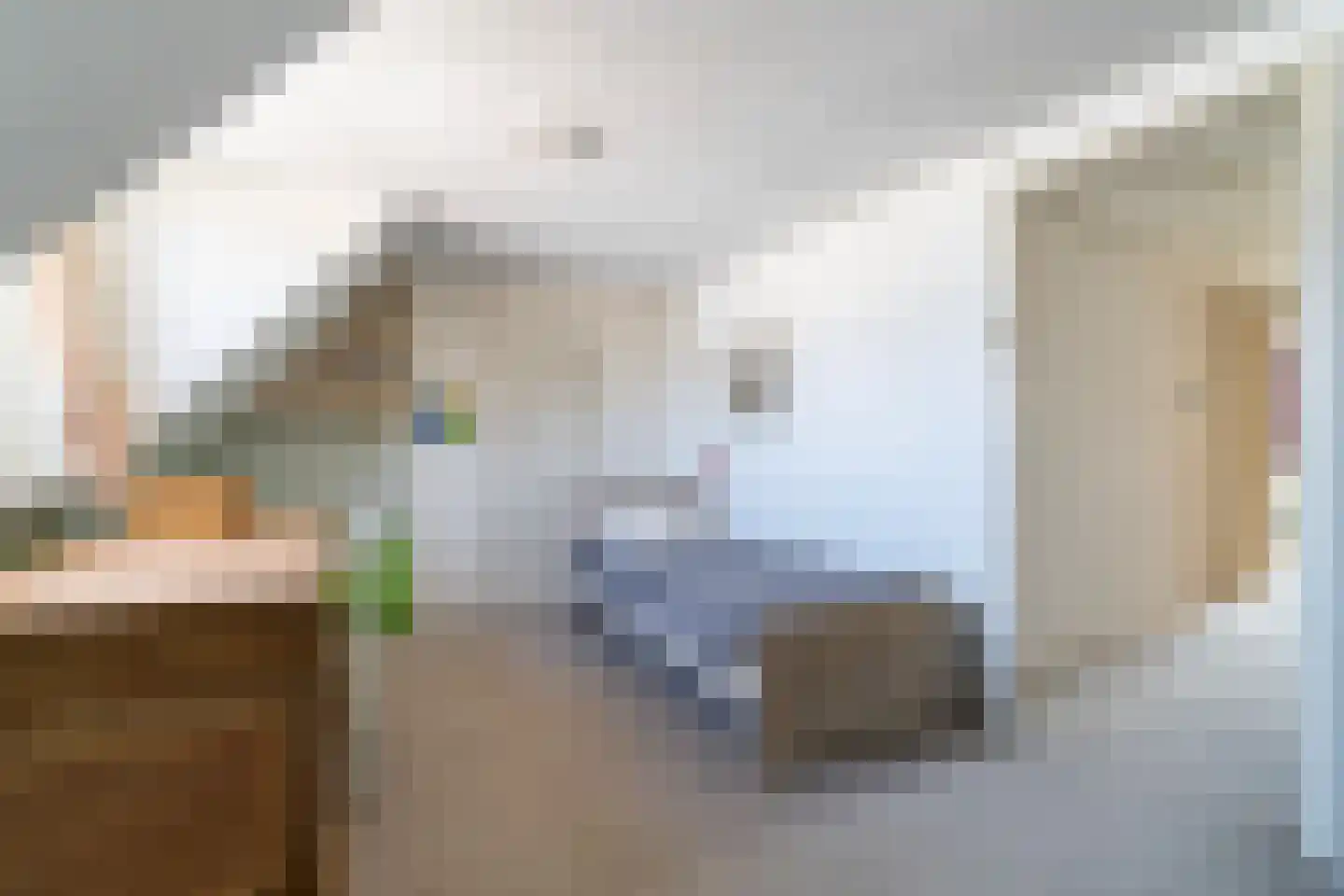 Riouwstraat 19 Den Haag thumbnail 42