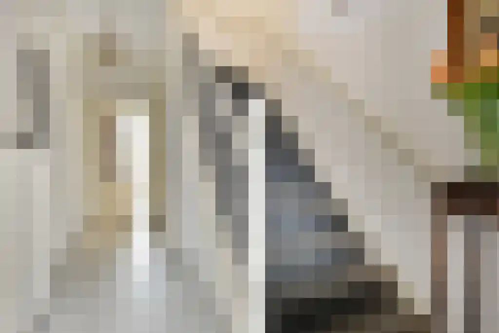 Riouwstraat 19 Den Haag thumbnail 8