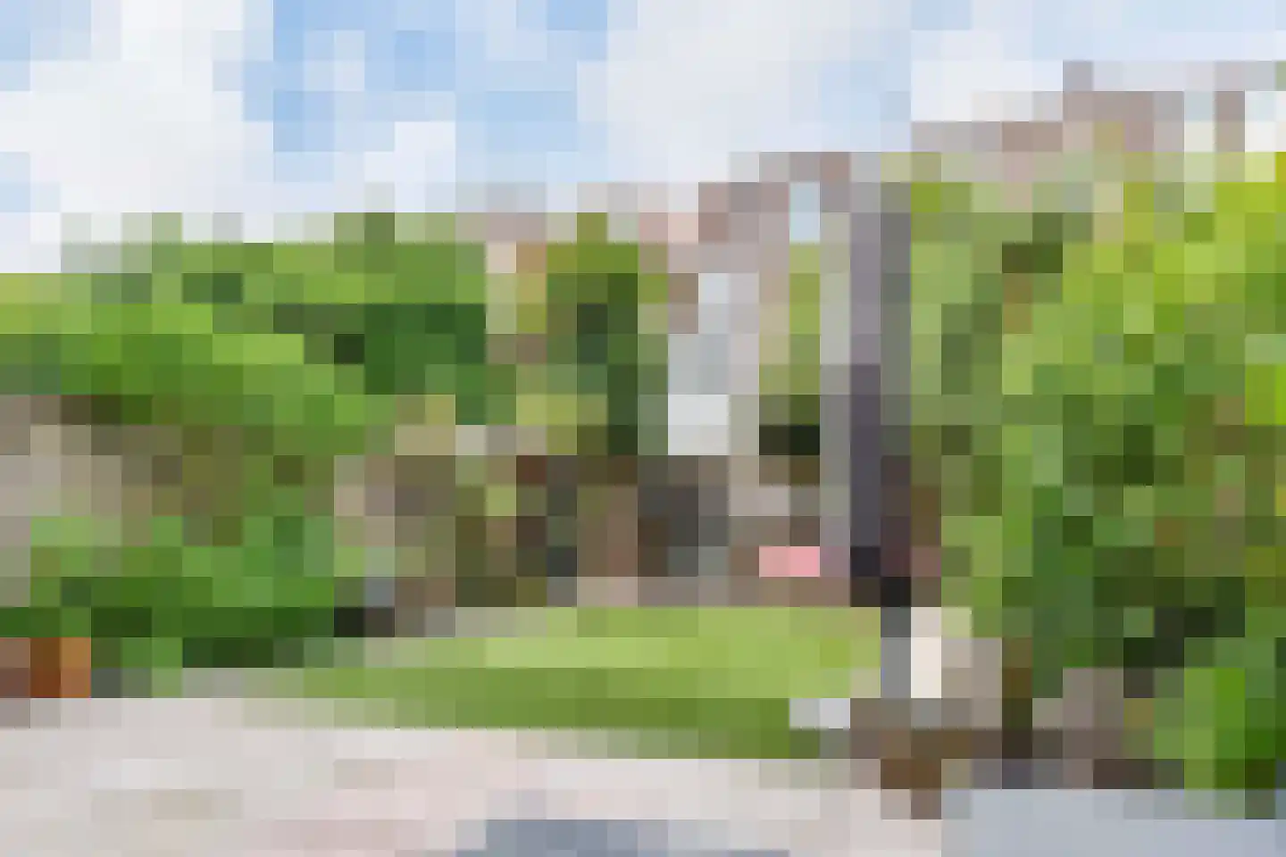 Riouwstraat 192 Den Haag thumbnail 4