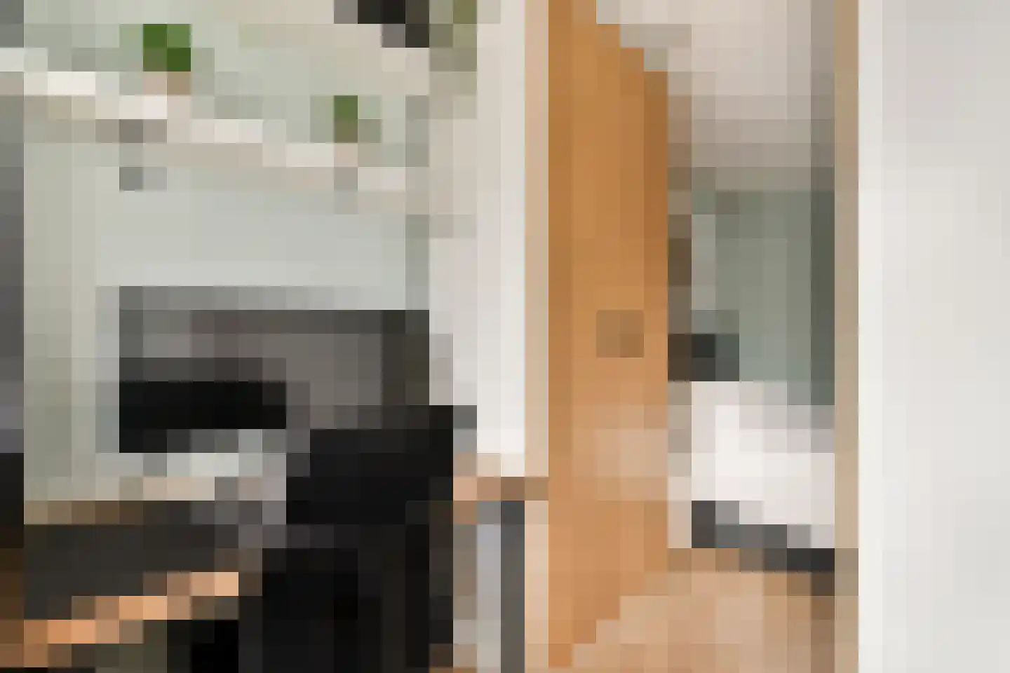 Riouwstraat 20 Amsterdam thumbnail 11