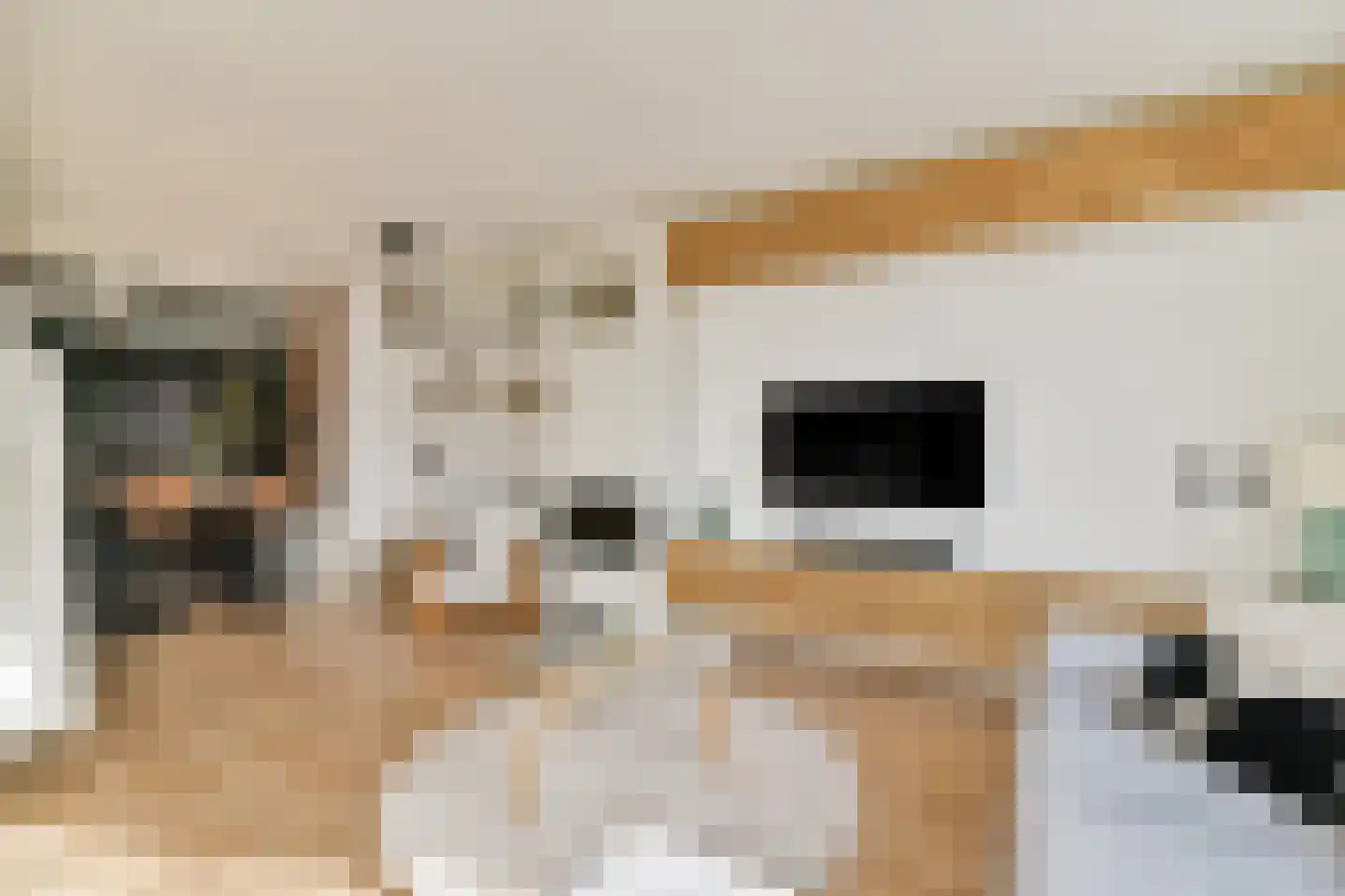 Riouwstraat 20 Amsterdam thumbnail 4