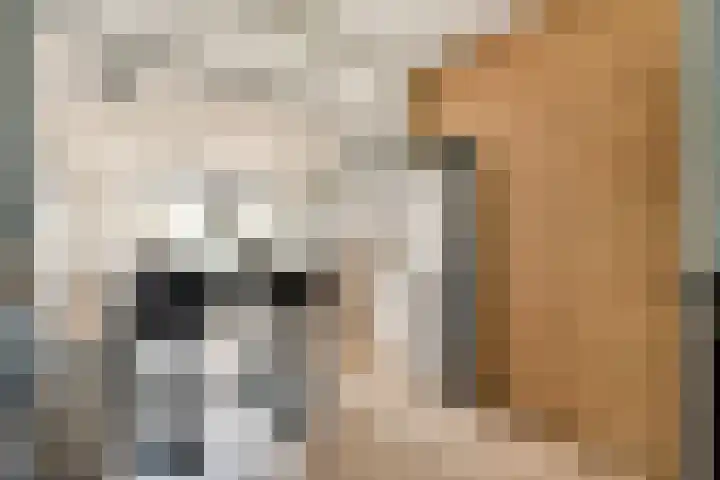 Riouwstraat 20 Amsterdam thumbnail 5