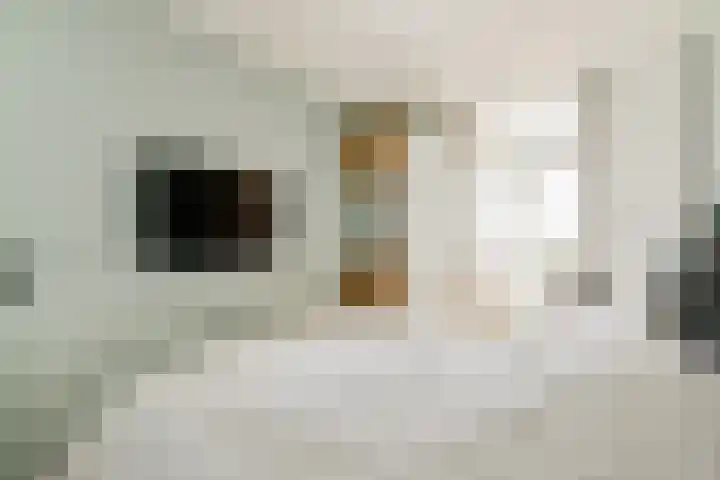 Riouwstraat 20 Amsterdam thumbnail 9