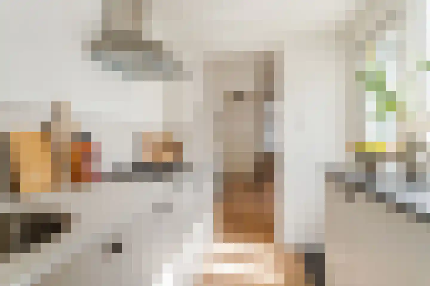 Riouwstraat 21 Utrecht thumbnail 10