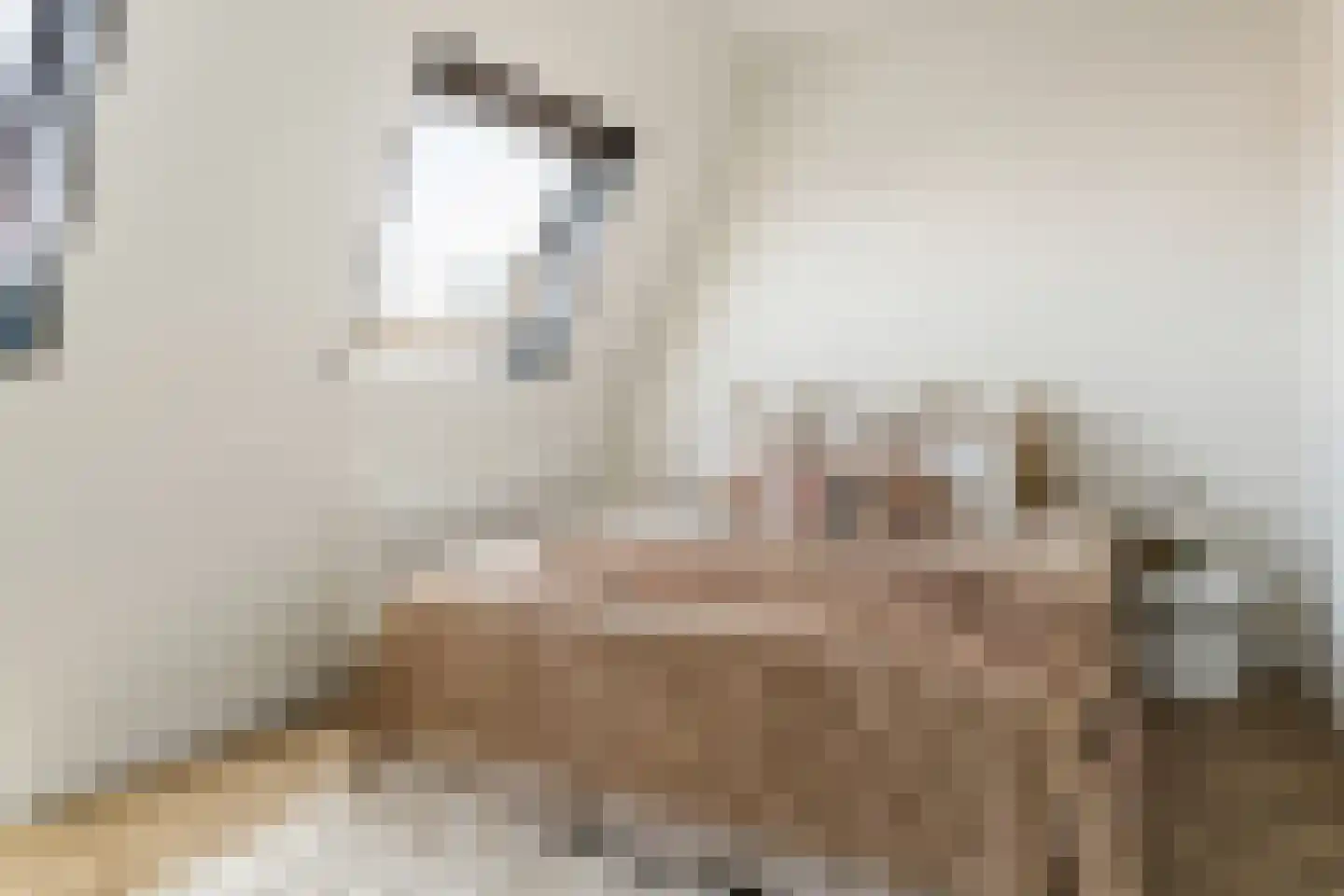 Riouwstraat 21 Utrecht thumbnail 21