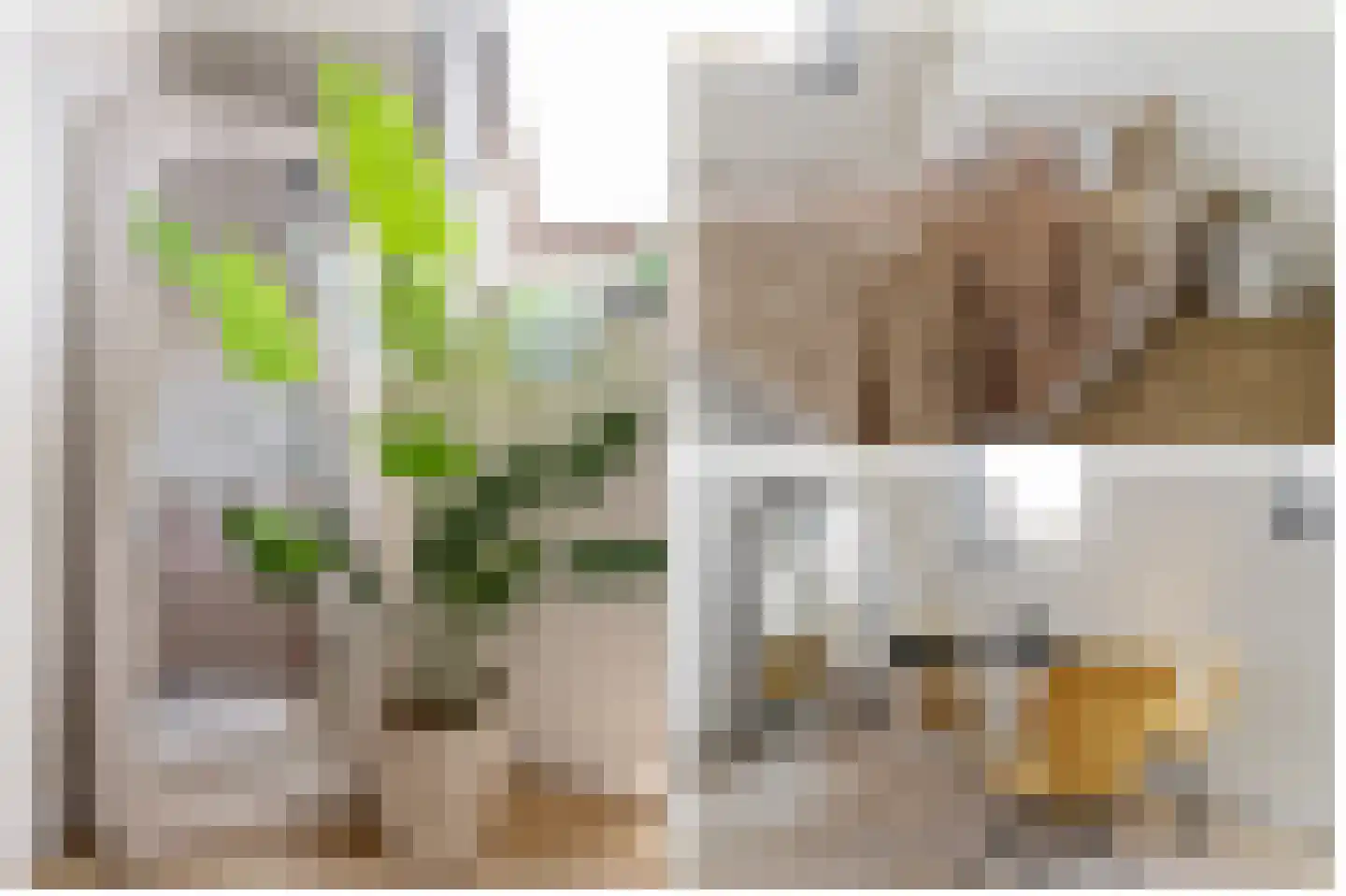 Riouwstraat 21 Utrecht thumbnail 22