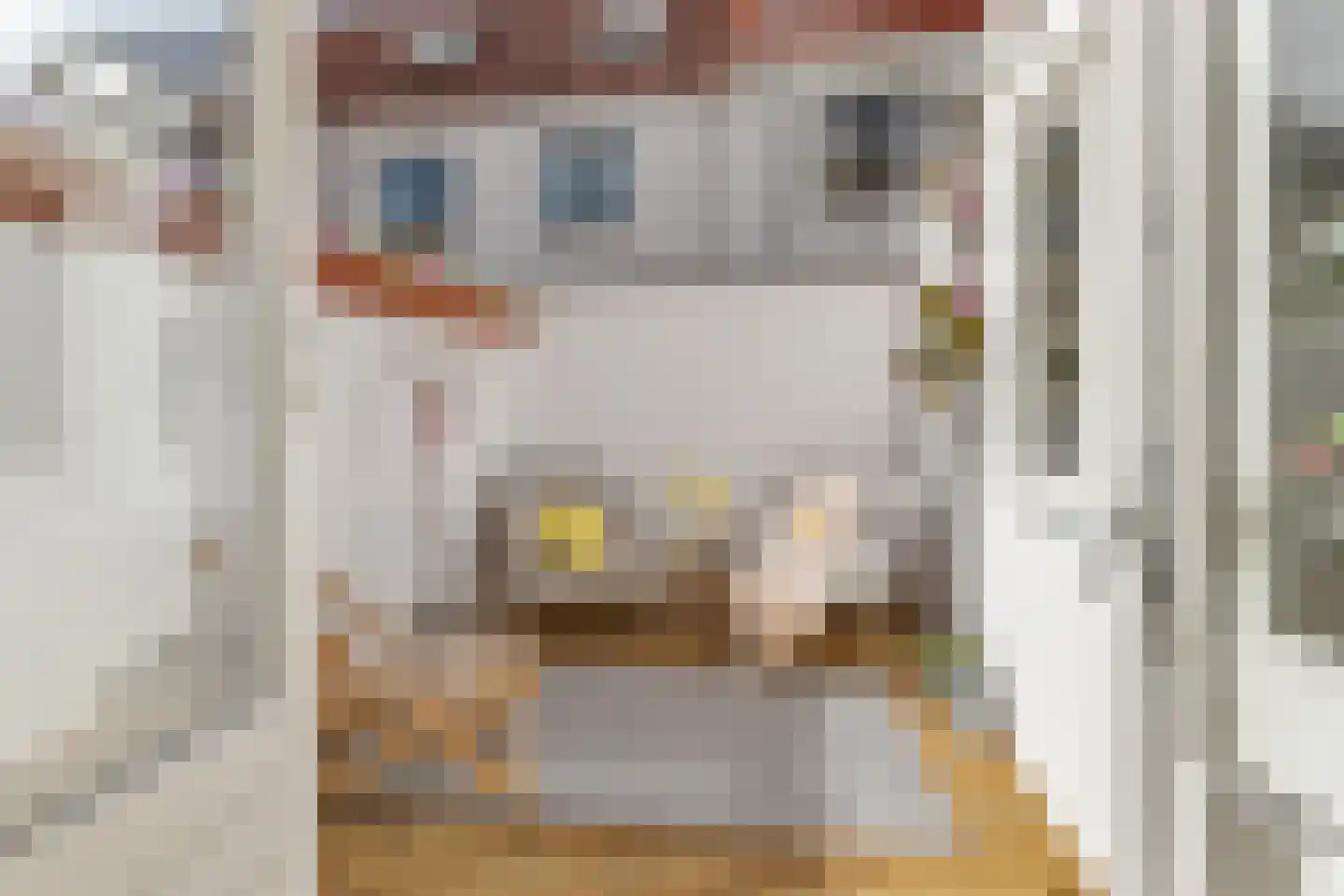 Riouwstraat 21 Utrecht thumbnail 29