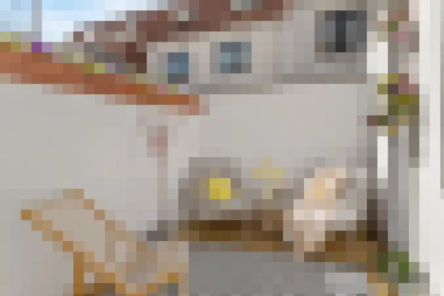 Riouwstraat 21 Utrecht thumbnail 30