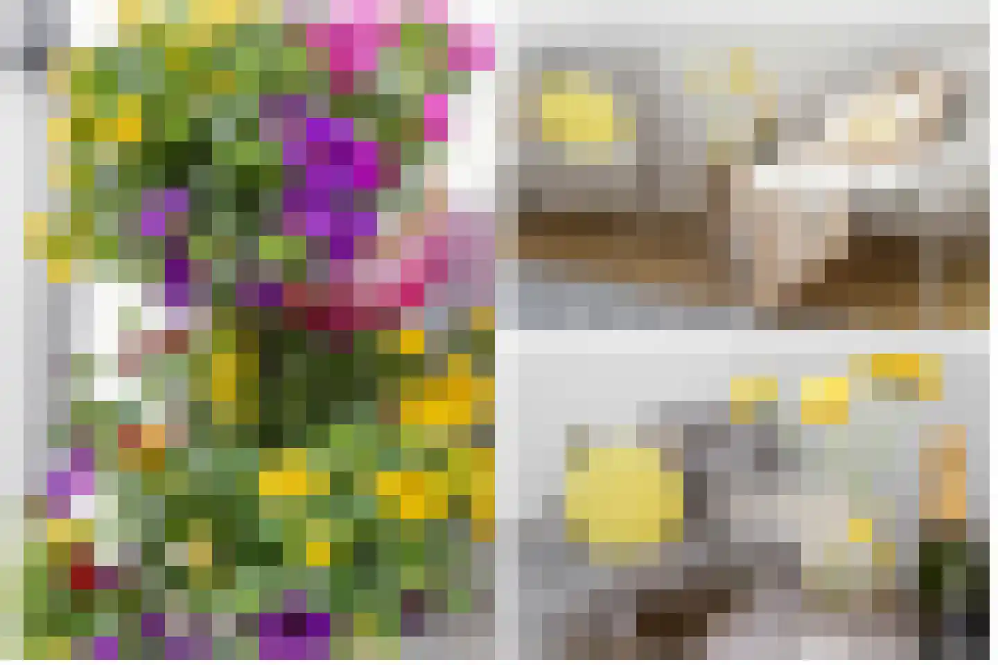 Riouwstraat 21 Utrecht thumbnail 32
