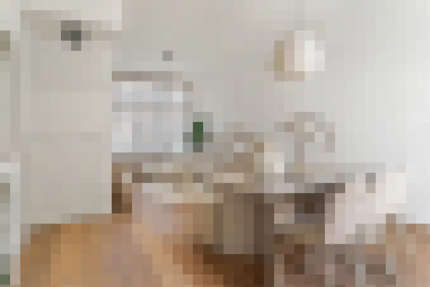 Riouwstraat 21 Utrecht thumbnail 6