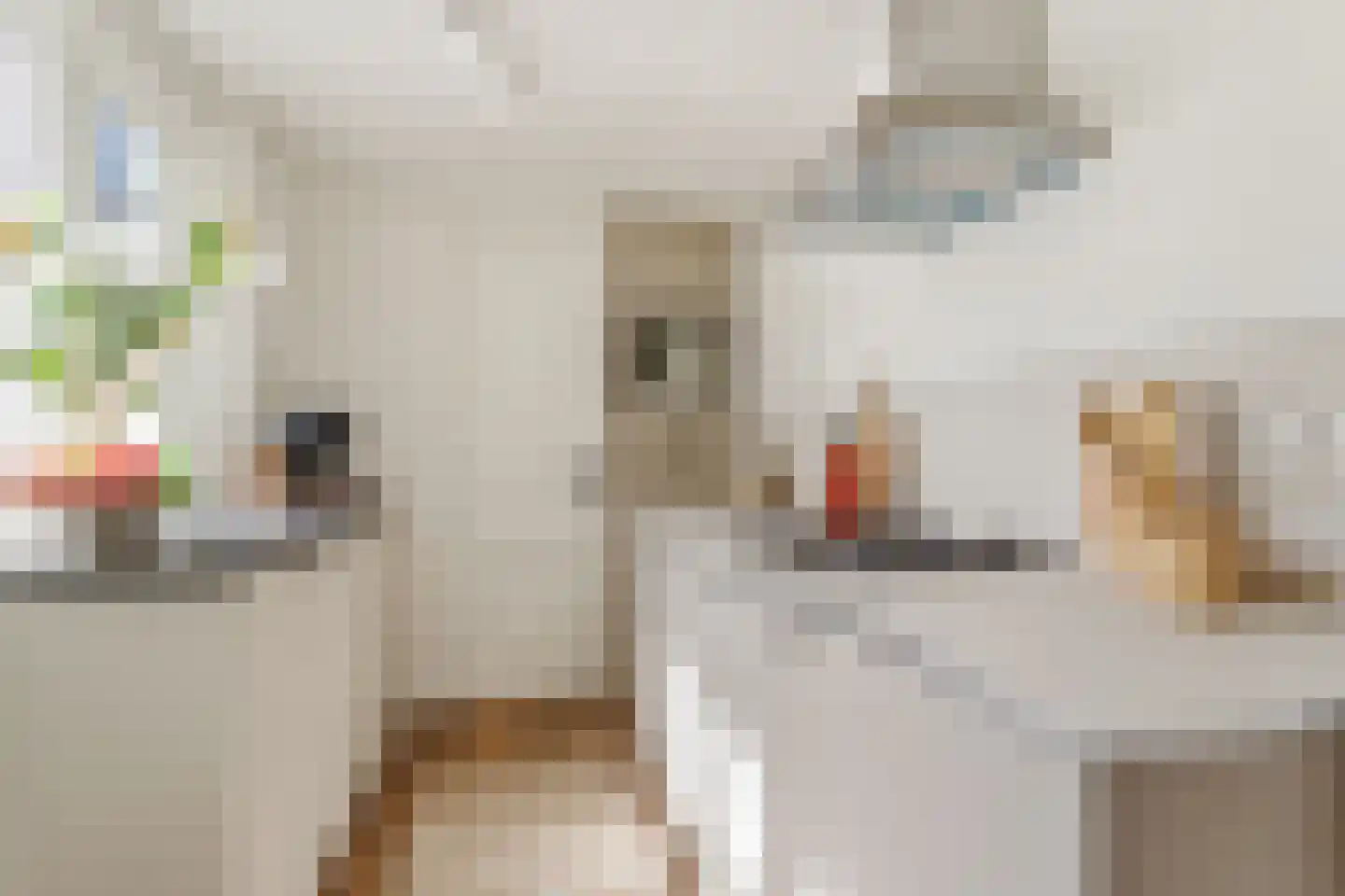 Riouwstraat 21 Utrecht thumbnail 9