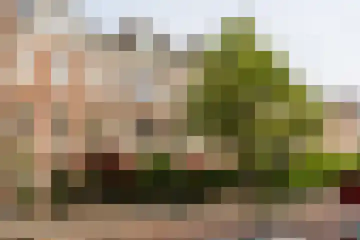 Riouwstraat 22 in Den Haag