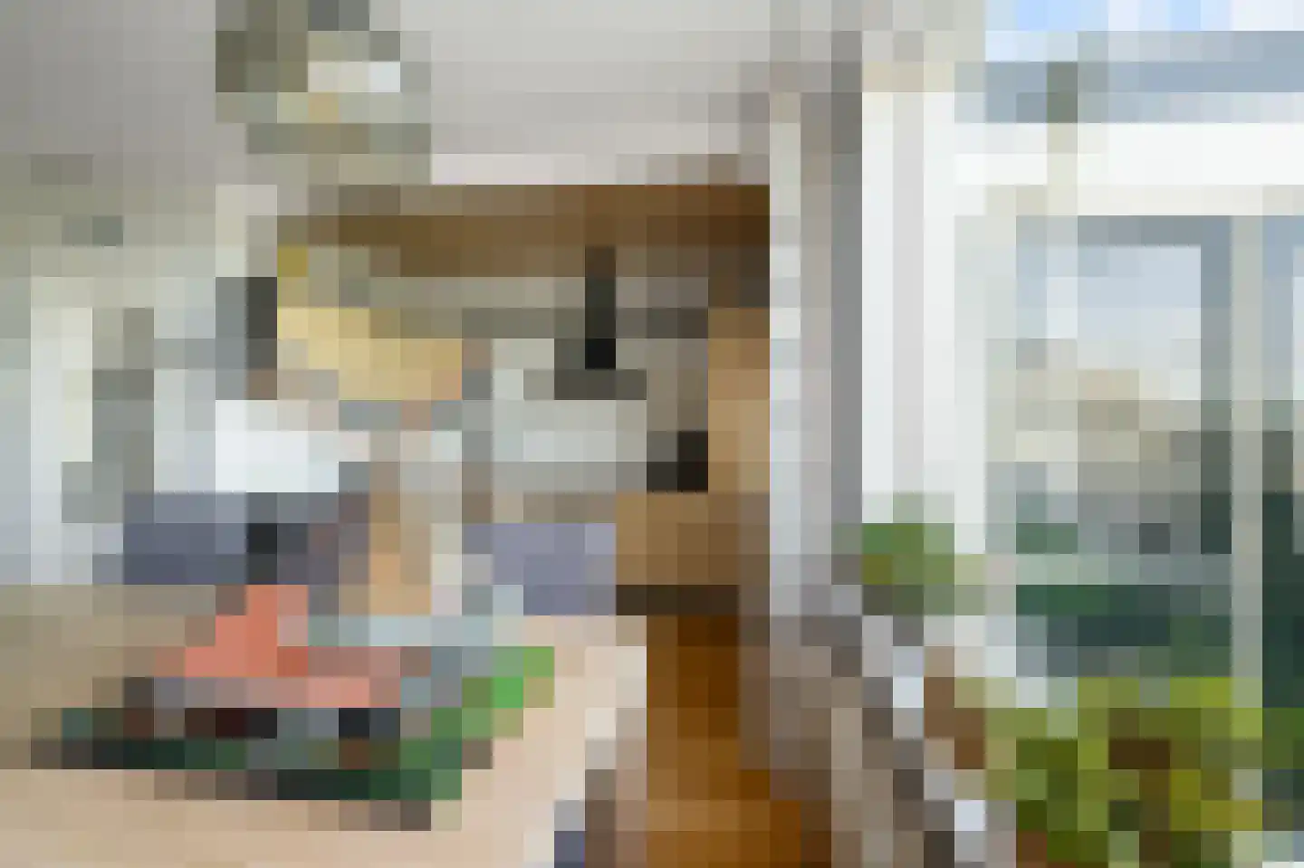 Riouwstraat 22 Wormerveer thumbnail 11