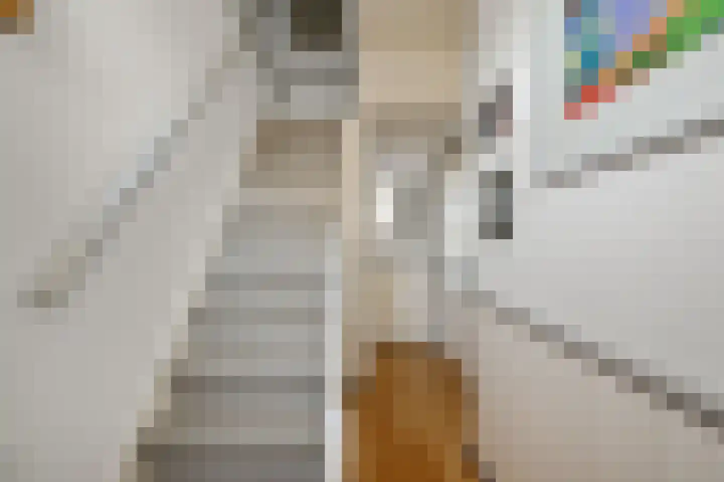 Riouwstraat 22 Wormerveer thumbnail 20