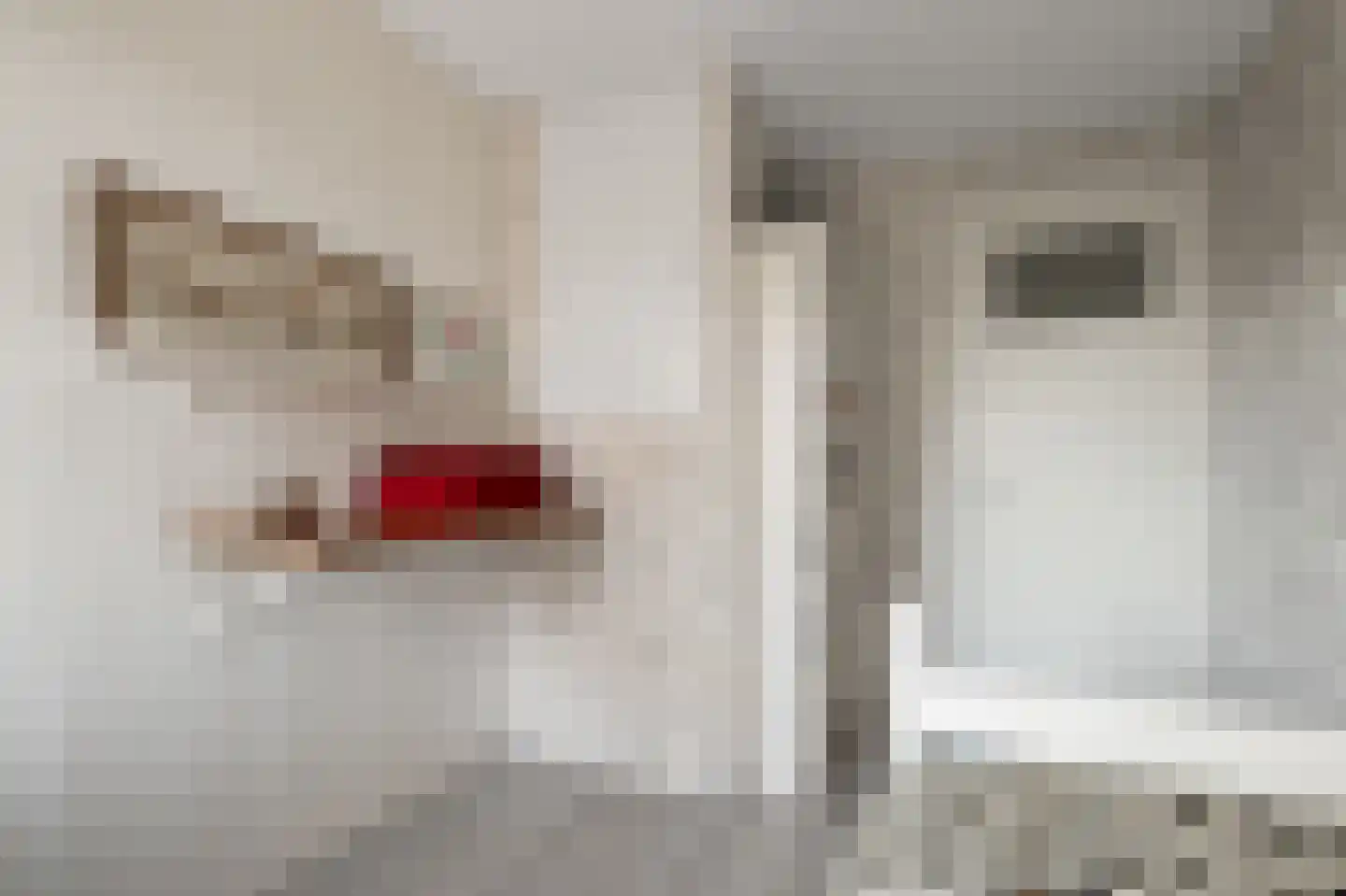Riouwstraat 22 Wormerveer thumbnail 31