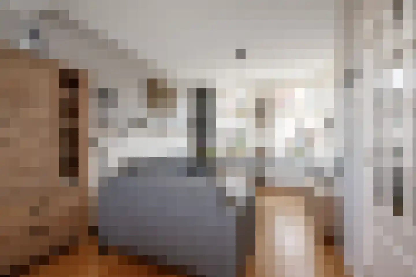 Riouwstraat 22 Wormerveer thumbnail 4