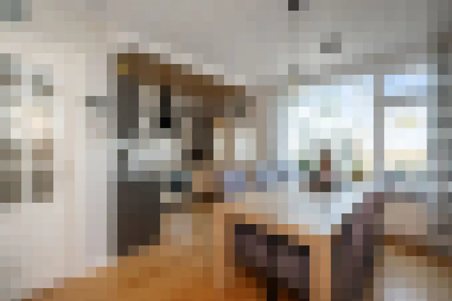 Riouwstraat 22 Wormerveer thumbnail 8