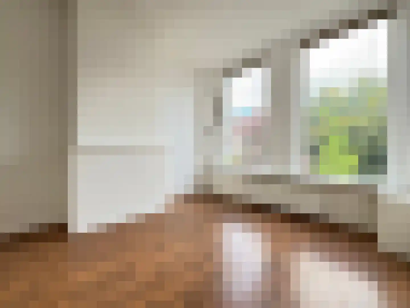 Riouwstraat 26 Groningen thumbnail 11