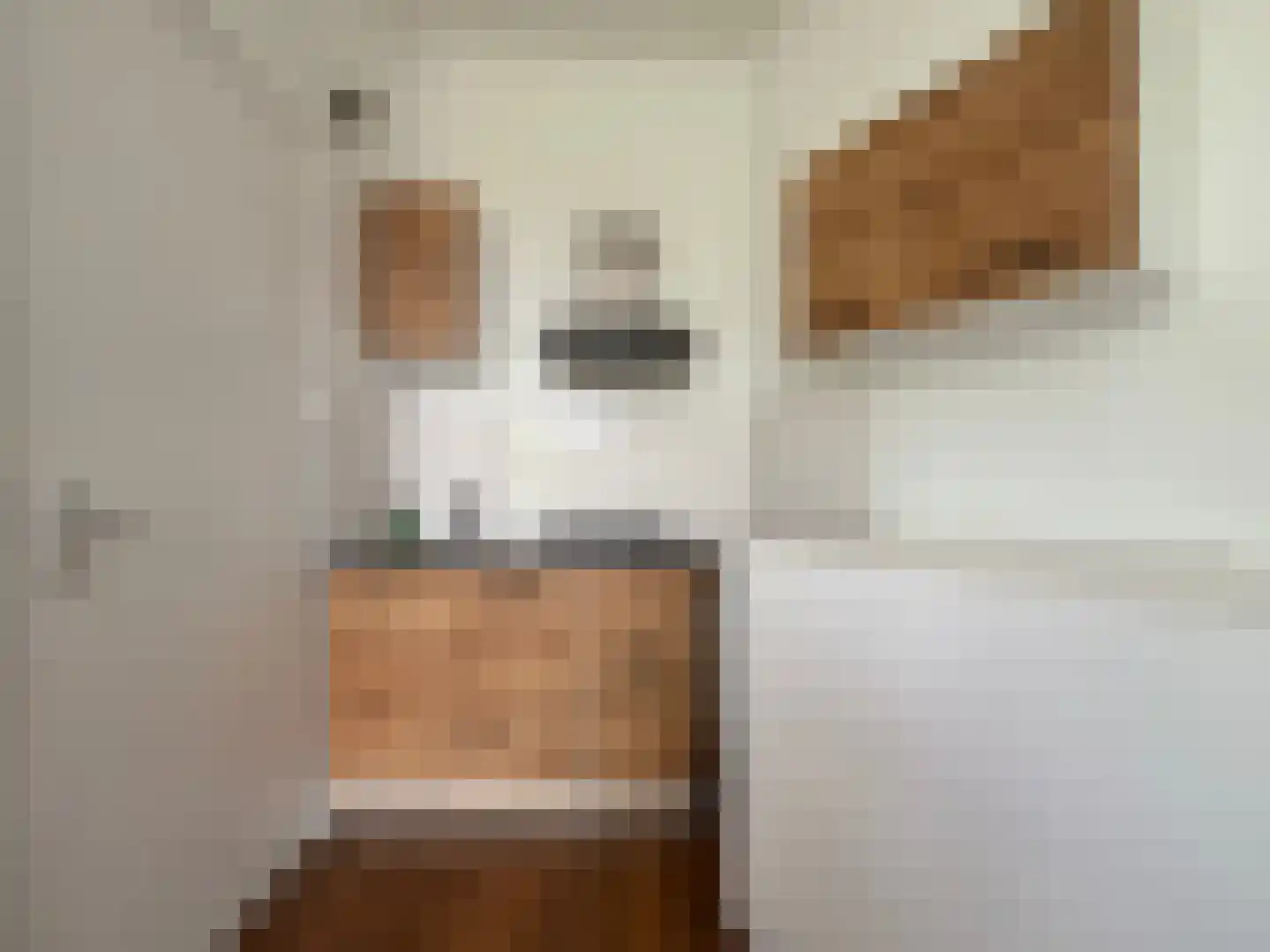 Riouwstraat 26 Groningen thumbnail 21