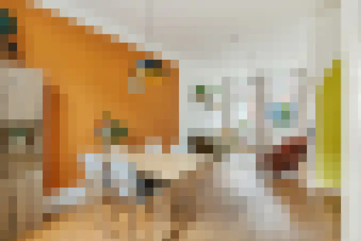 Riouwstraat 27 Utrecht thumbnail 13