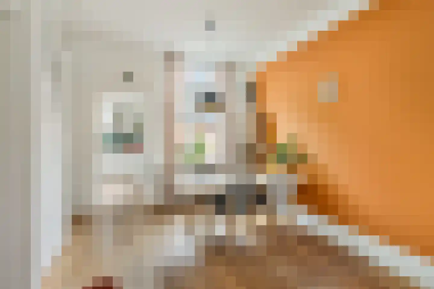 Riouwstraat 27 Utrecht thumbnail 14